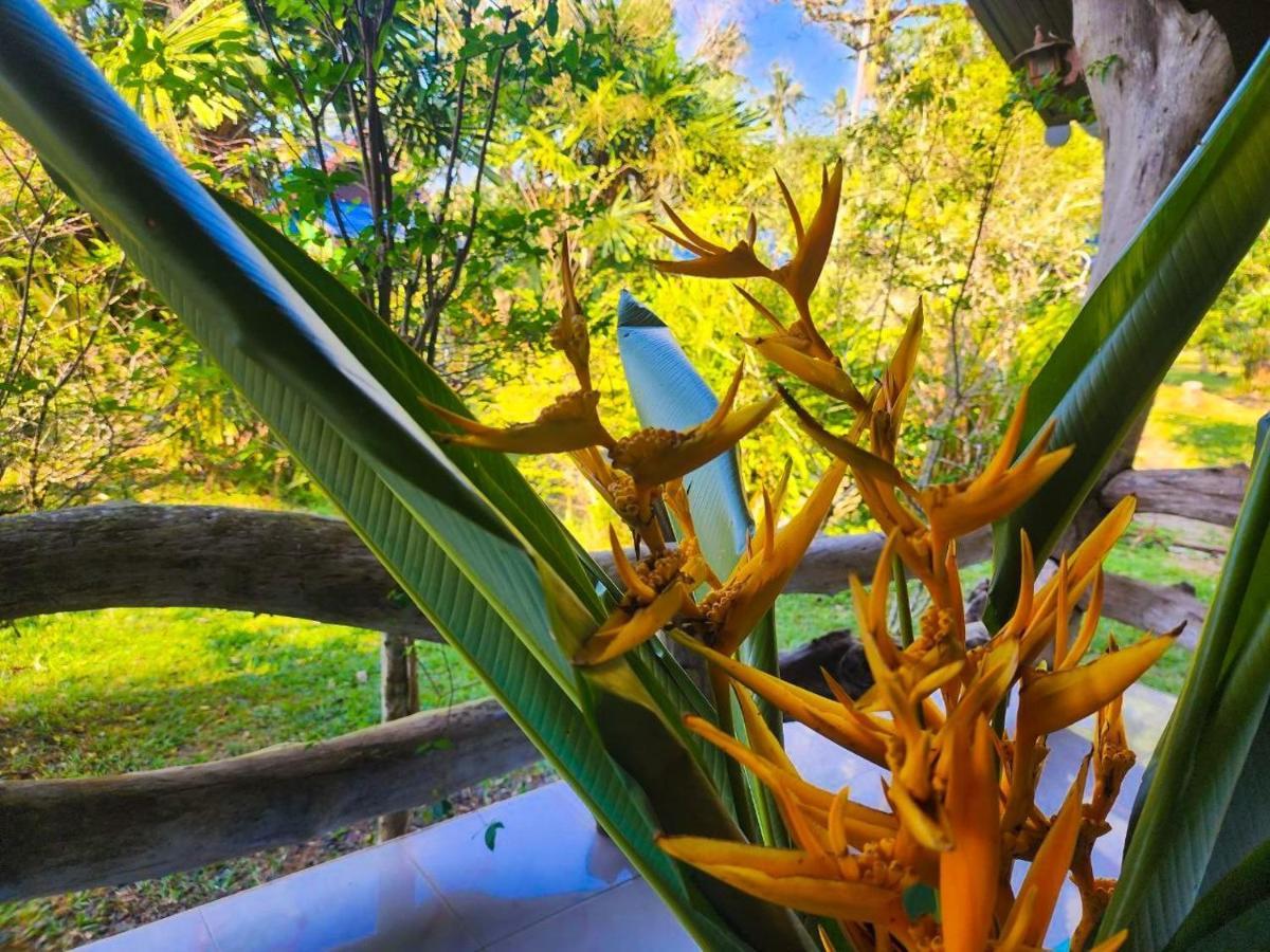 Banmae Resort Kohchang Koh Chang Exteriör bild